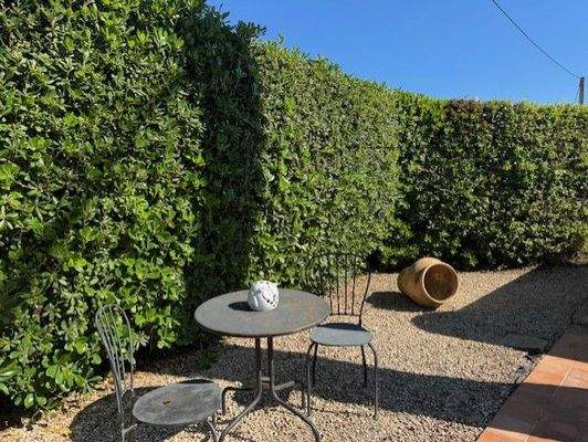 thumbnail_IMG_4593 (1).jpg