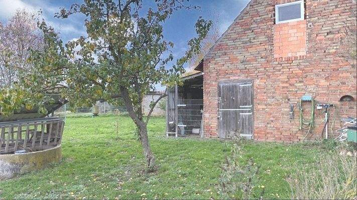 Foto-Grundstück u. Nebengebäude