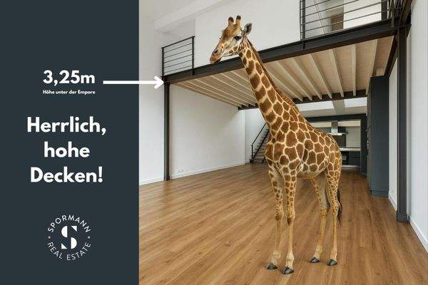 herrliche, Deckenhöhen