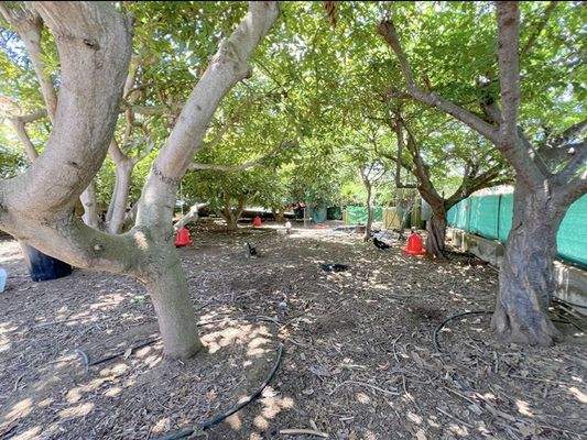 WhatsApp Image 2025-05-01 at 12.22.03.jpeg