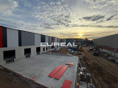 Mülheim an der Ruhr Halle, Mülheim an der Ruhr Hallenfläche