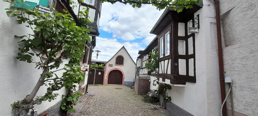 Blick zum Anwesen (1)