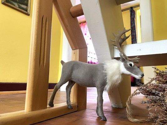 sehr geschmackvolle u. romantische Einrichtung