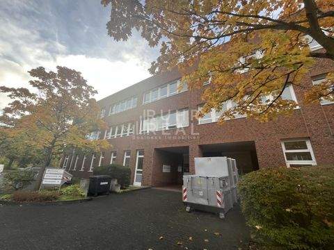 Köln Halle, Köln Hallenfläche