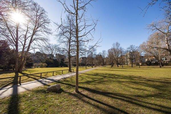 Grüner Rosenaupark mit gepflegten Wegen und Sitzmöglichkeiten für erholsame Spaziergänge