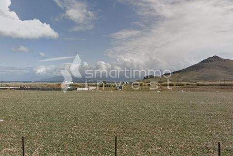 Tsoukalia, Paros Bauernhöfe, Landwirtschaft, Tsoukalia, Paros Forstwirtschaft