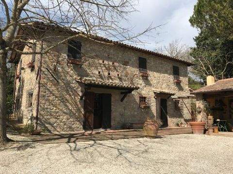 Todi Häuser, Todi Haus kaufen