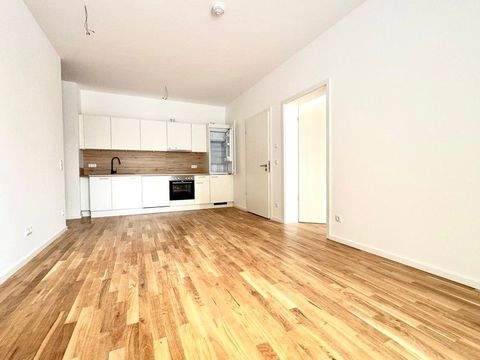 Leipzig Wohnungen, Leipzig Wohnung mieten