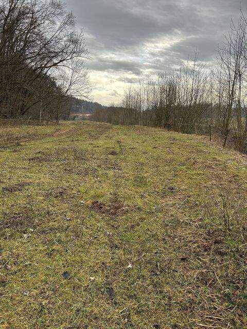 Nußdorf Bauernhöfe, Landwirtschaft, Nußdorf Forstwirtschaft