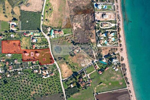 b33f33f4164f45378a30f713399c7a6c-original