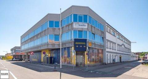 Vösendorf Halle, Vösendorf Hallenfläche