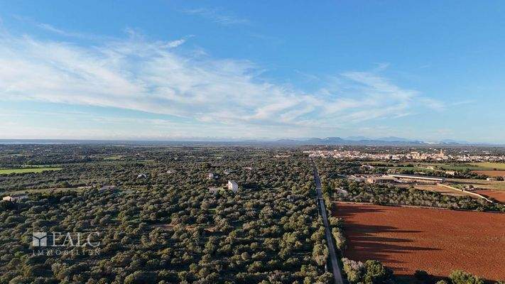 Weitblick Ses Salines