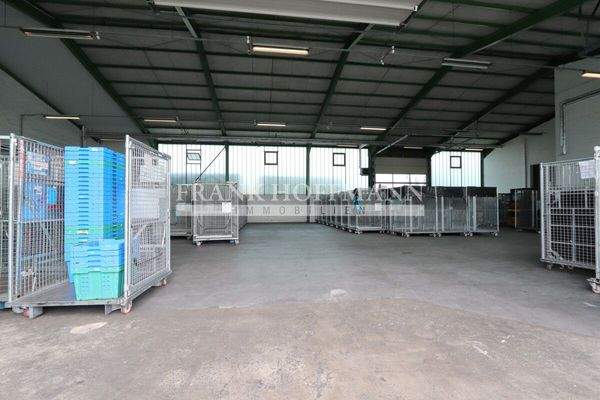 M2445 Hallenfläche 3