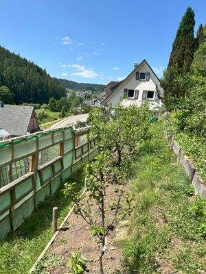 Blick vom Garten auf das Haus 