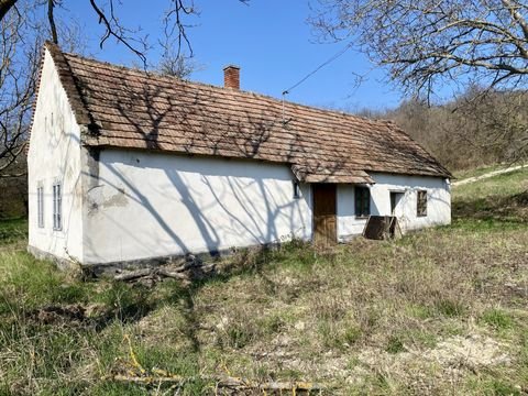 Zalaszántó Bauernhöfe, Landwirtschaft, Zalaszántó Forstwirtschaft