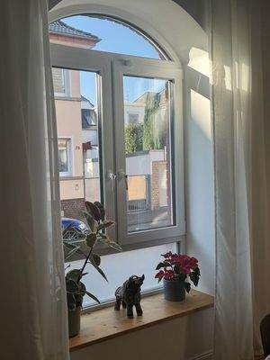 3-fach verglaste neue Fenster
