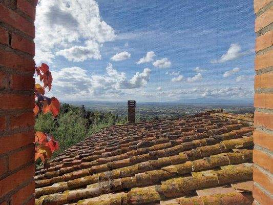 44LAzienda_ agricola_Toskana.jpg