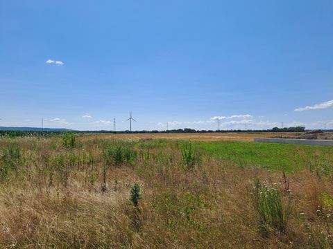 Pottendorf Grundstücke, Pottendorf Grundstück kaufen