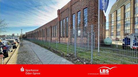 Berlin Halle, Berlin Hallenfläche