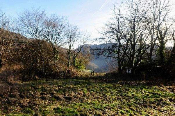 416373552_1081801192941142_7996024488398743743_n.j