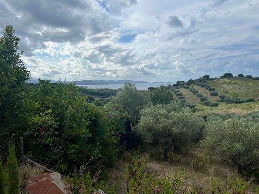 Olivenhain Follonica Meerblick