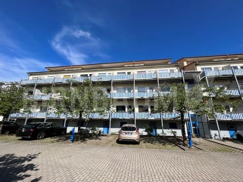 Greifswald Wohnungen, Greifswald Wohnung mieten
