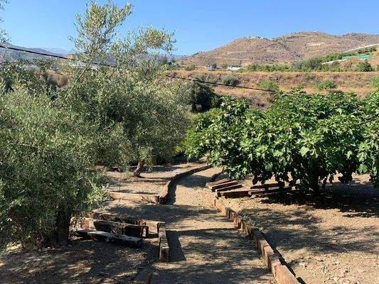 A252_1_19_PHOTO-2021-08-04-18-07-42 4.jpg