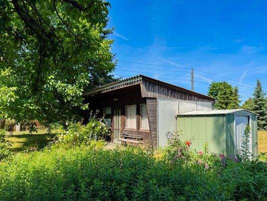 Ihre Gartenlaube (2)