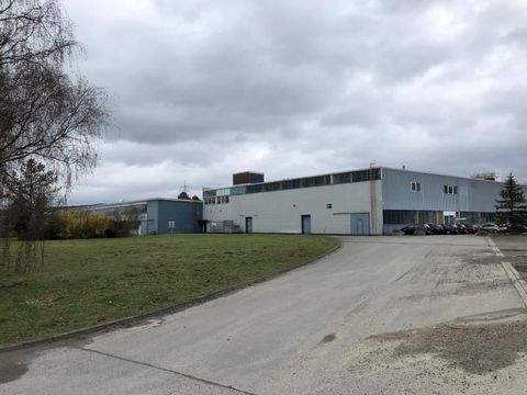 Giesen Halle, Giesen Hallenfläche