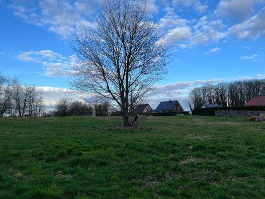 Unbebautes Grundstück