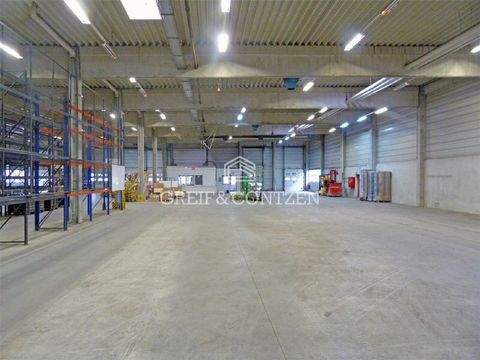 Köln Halle, Köln Hallenfläche