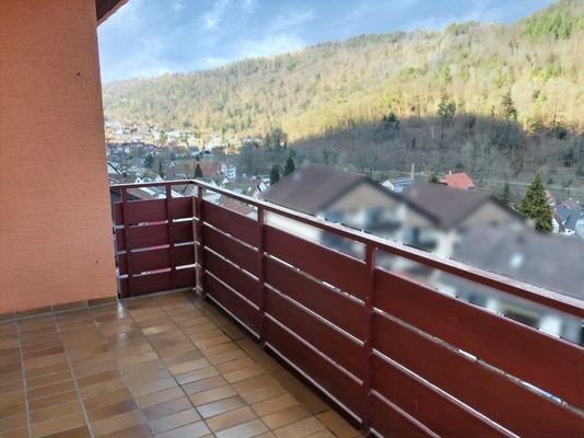 ... und Schwarzwaldblick