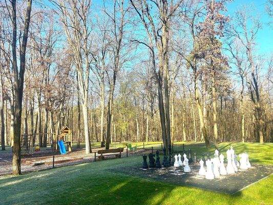 Neighbourhood impressions