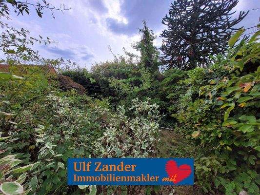 Nicht einsehbarer Garten!