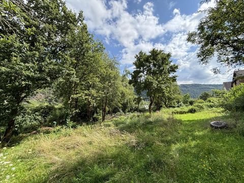 Traben-Trarbach Grundstücke, Traben-Trarbach Grundstück kaufen