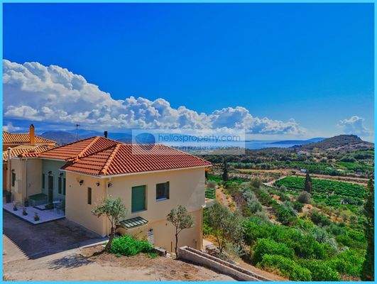 77e25c1b0f7d4b4495d293f7620f0c32-original