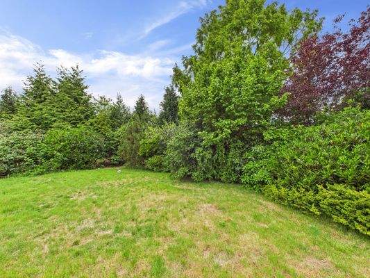 CAM03784G0-PR0065-STILL009