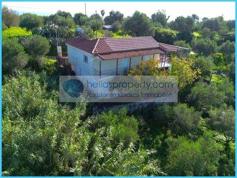 Koroni Häuser, Koroni Haus kaufen