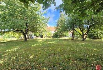 Ihr Garten