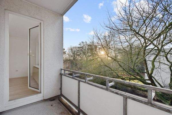 Blick in die Baumkrone eines wunderschönen alten Baumes