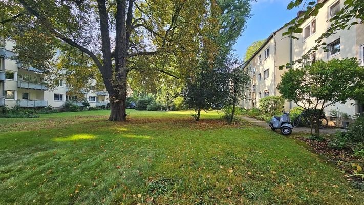 großzügige Grünflächen vor und hinter dem Haus