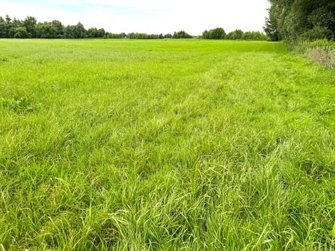 Kalkar Bauernhöfe, Landwirtschaft, Kalkar Forstwirtschaft