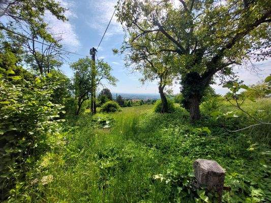 Blickrichtung Süden