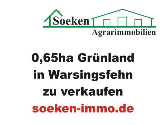 Bild...