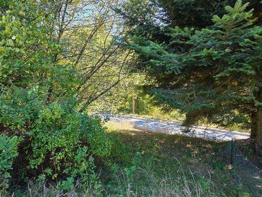 Ansicht Nord nach Süd mit Westgrenze