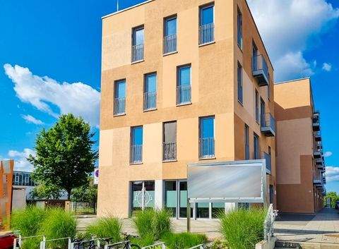 Dresden Büros, Büroräume, Büroflächen 