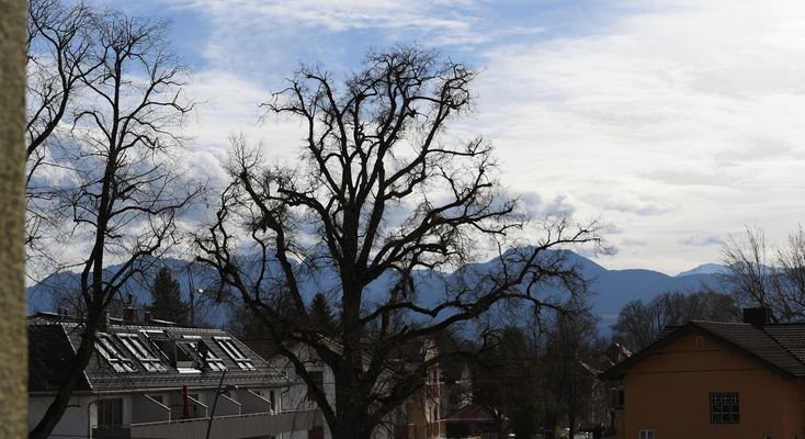 Bergblick auf den Wendelstein aus drei Zimmern sowie vom Balkon