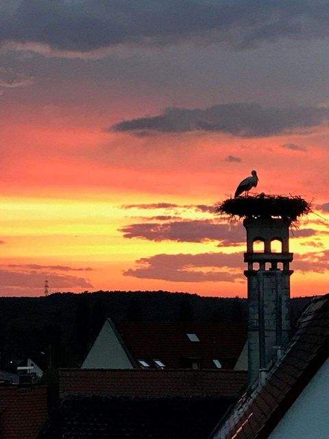 Heroldsbach Häuser, Heroldsbach Haus kaufen