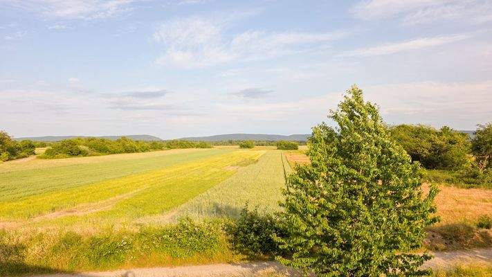Blick von der Dachterrasse