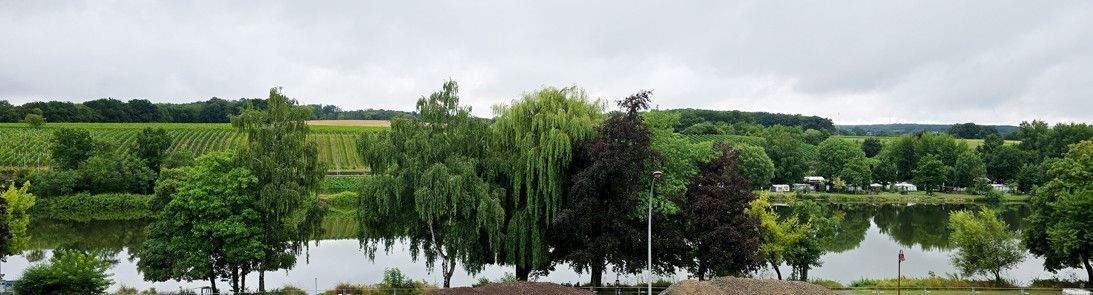 appartement_a_vendre_a_remich_A21828-14